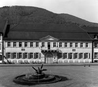 Palais Boisserée©Universitätsarchiv Heidelberg, Ingeborg Klinger